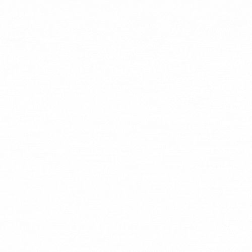 Social Action and Research Centre